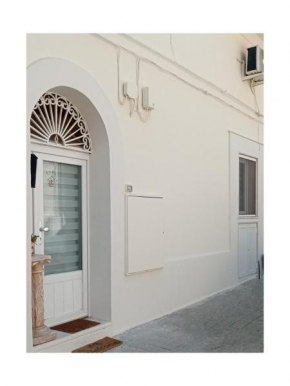 Casina Tasso